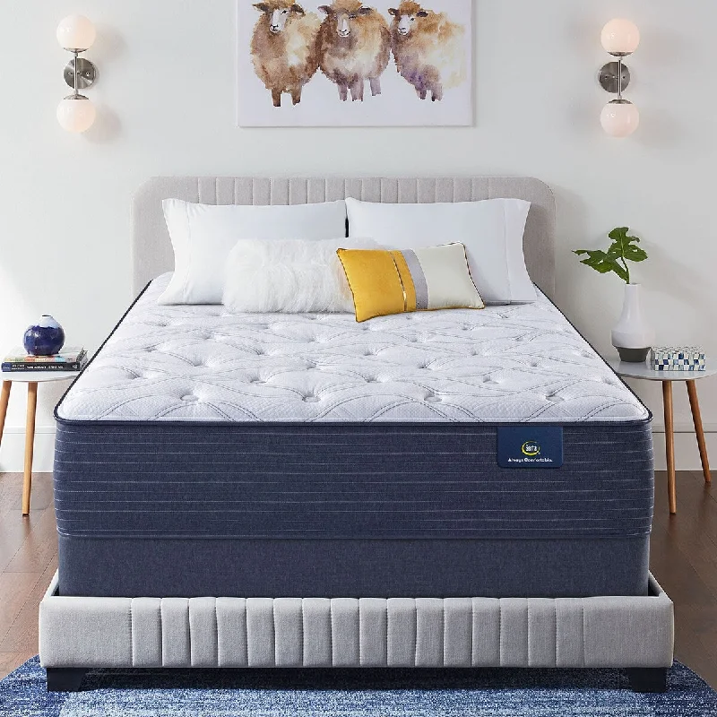 Memory foam mattresses for pressure relief and contouringSerta Clarks Hill 14" Plush Mattress